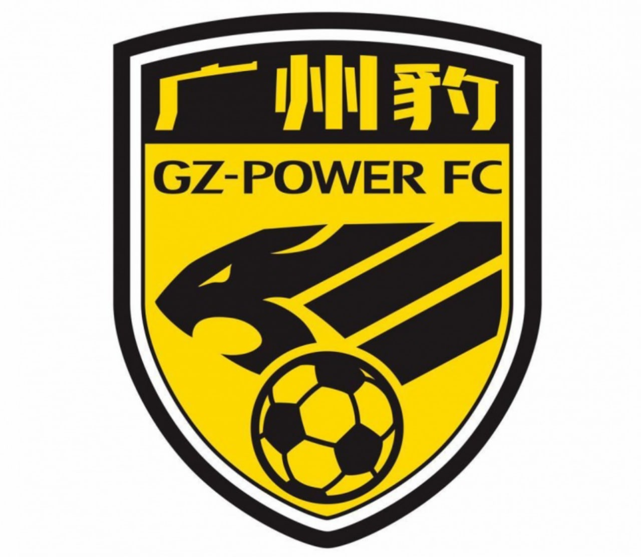 稳扎稳打：广州豹队在中乙联赛中的辉煌战绩